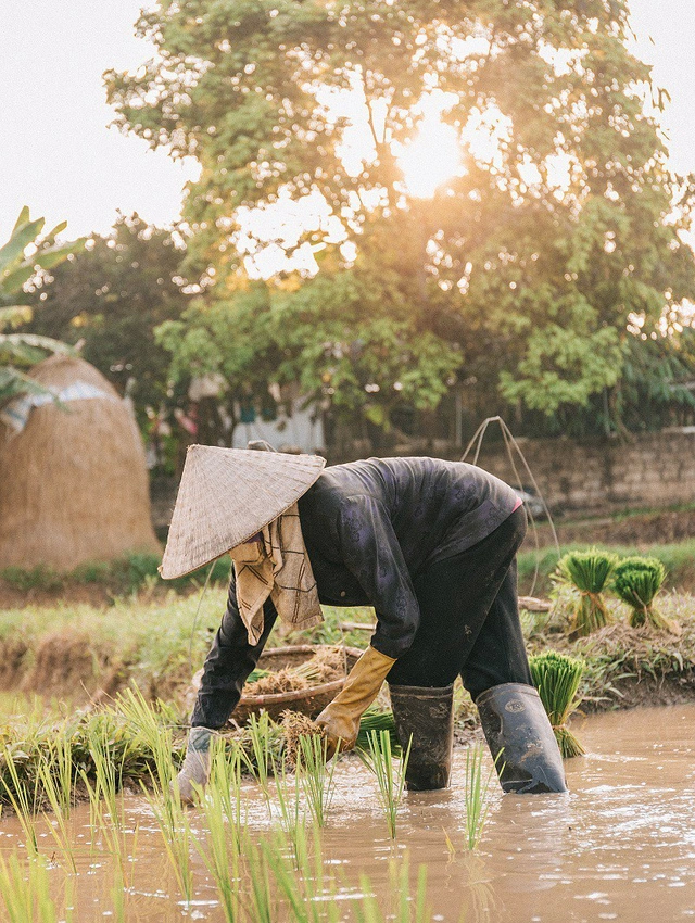 Hình ảnh người mẹ già tần tảo lo cho con 21