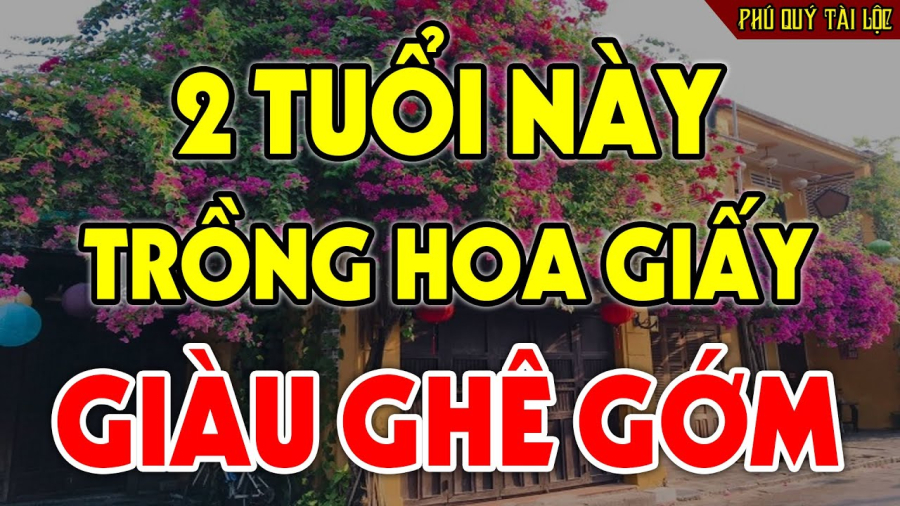 2 tuoi troոg hoa giaγ giau ghe gom