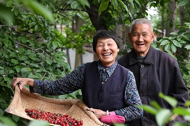 Tôi 61 tuổi, điều khôn ngoan nhất trong đời là đóng bảo hiểm cho bố mẹ: Những người trước đây nói tôi dại dột giờ đều ghen tỵ! - Ảnh 1.