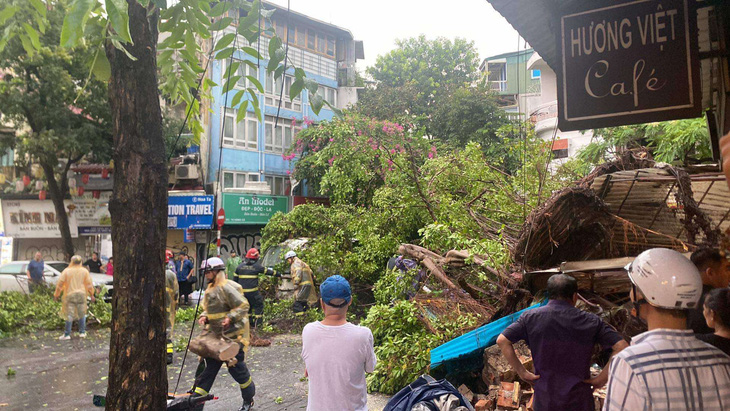 Hà Nội mưa trắng trời, cây xanh ngã đè người đi đường bất tỉnh - Ảnh 8.