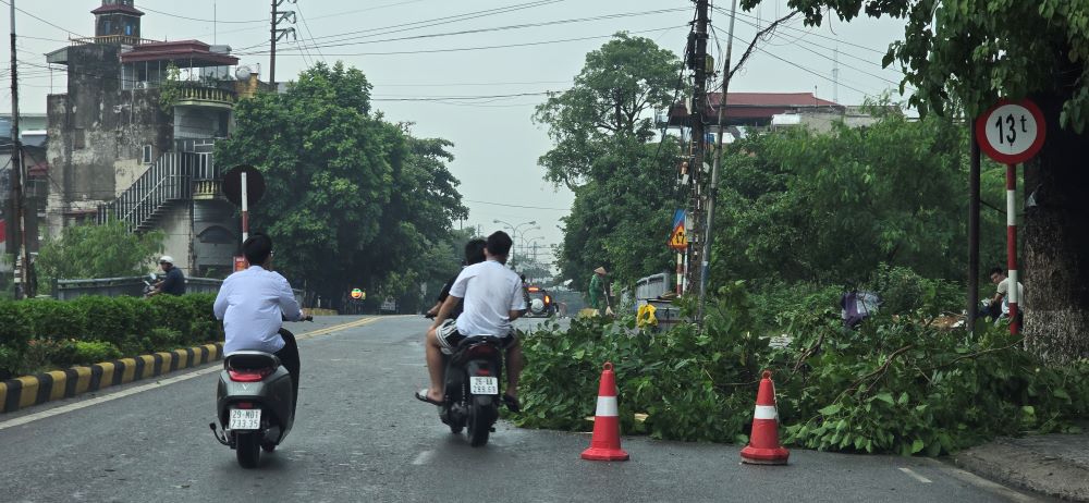 Cơ quan chức năng dọn dẹp một cây nhỏ đổ trên đường Trần Thái Tông. Ảnh: Nam Hồng