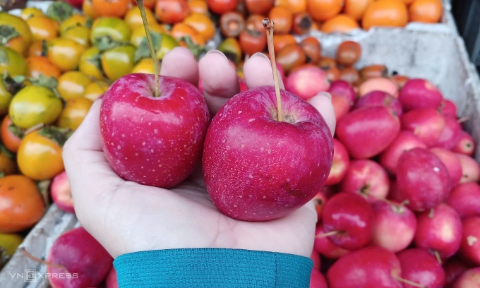 Táo cherry được bán tại cửa hàng hoa quả trên đường Phạm Văn Chiêu (Gò Vấp). Ảnh: Thi Hà