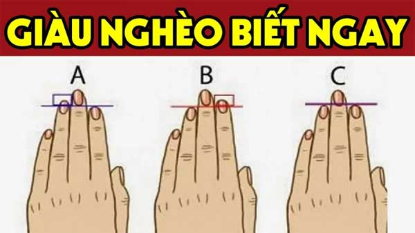 Thầy tử vi chỉ rõ: Nhìn độ dài ngón trỏ biết tương lai bạn phúc phận sâu dày, giàu sang hay nghèo mãn kiếp?-2