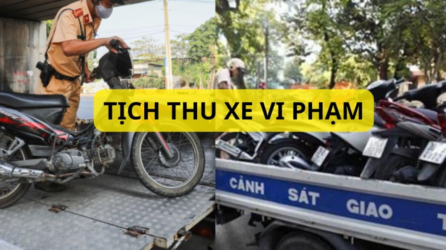 Nhiều lỗi bị đề nghị tịch thu phương tiện